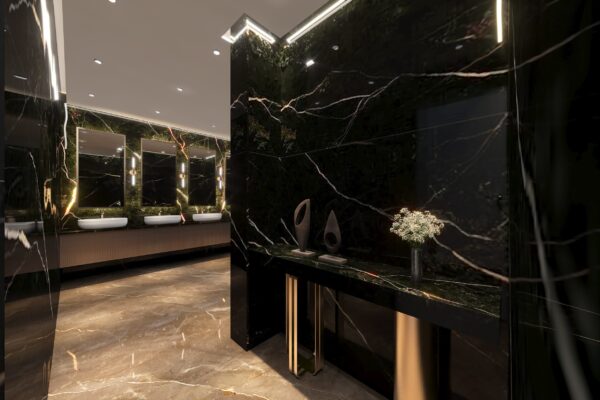 MALE & FEMALE TOILETS VIJAY DNC__OPTN 01__C01